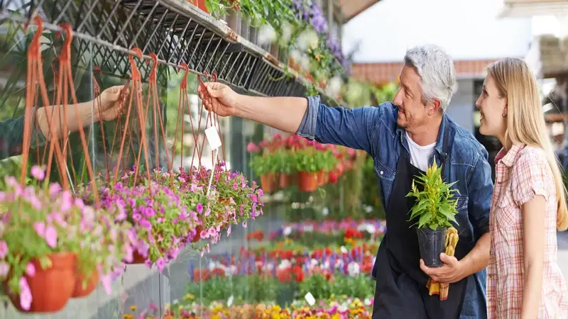 The Benefits of Plant Nurseries Webfreen.com